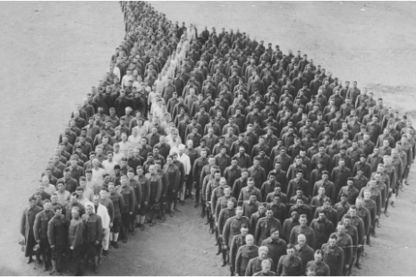 Atların Yazılmamış Târihi Savaşlarda Ölen ve Yaralanan Atlar