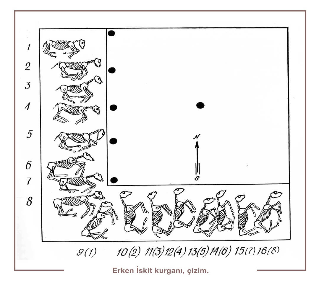 İskitlere âit at koşum takımları, çizim.