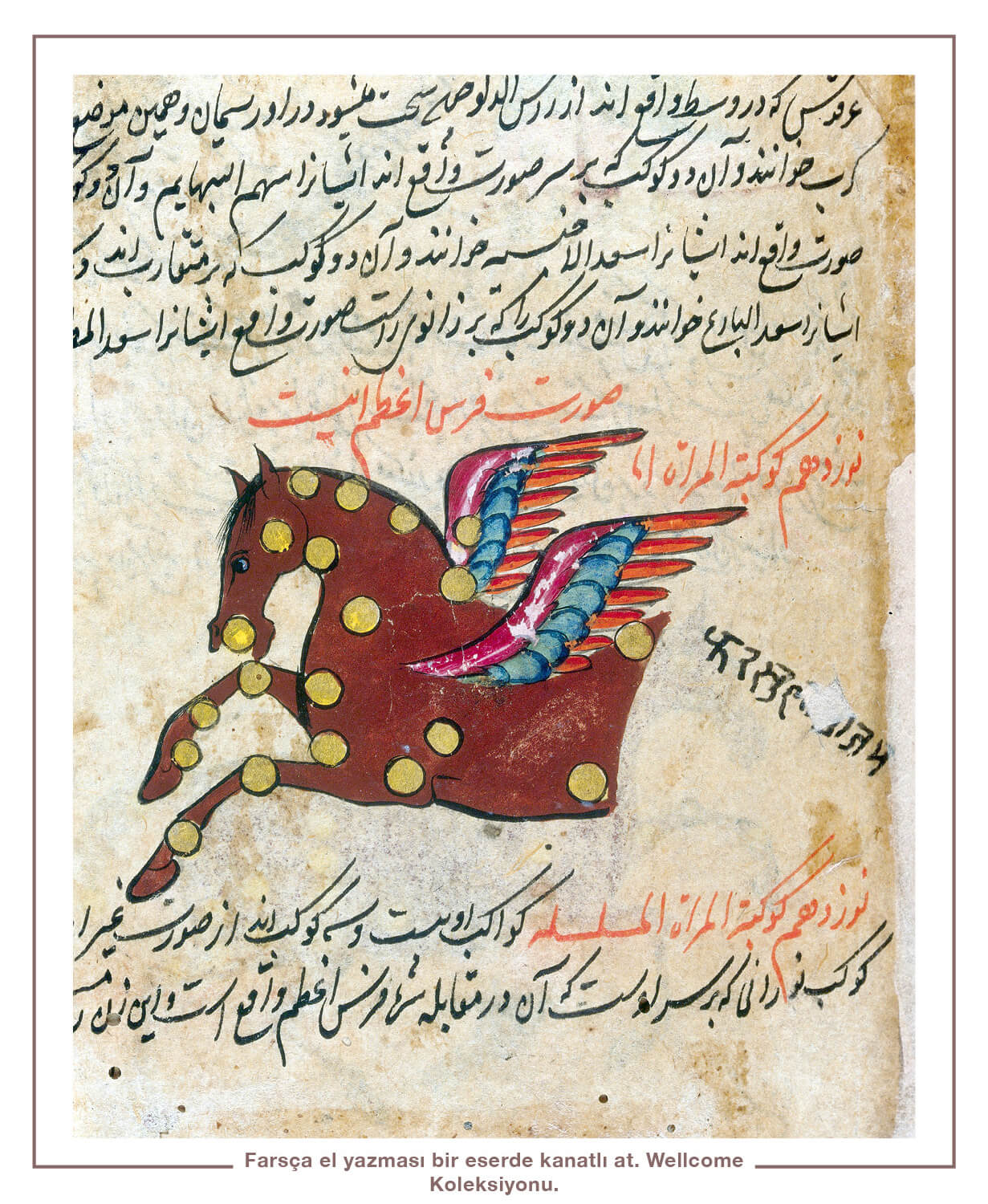 Farsça el yazması bir eserde kanatlı at. Wellcome Koleksiyonu.