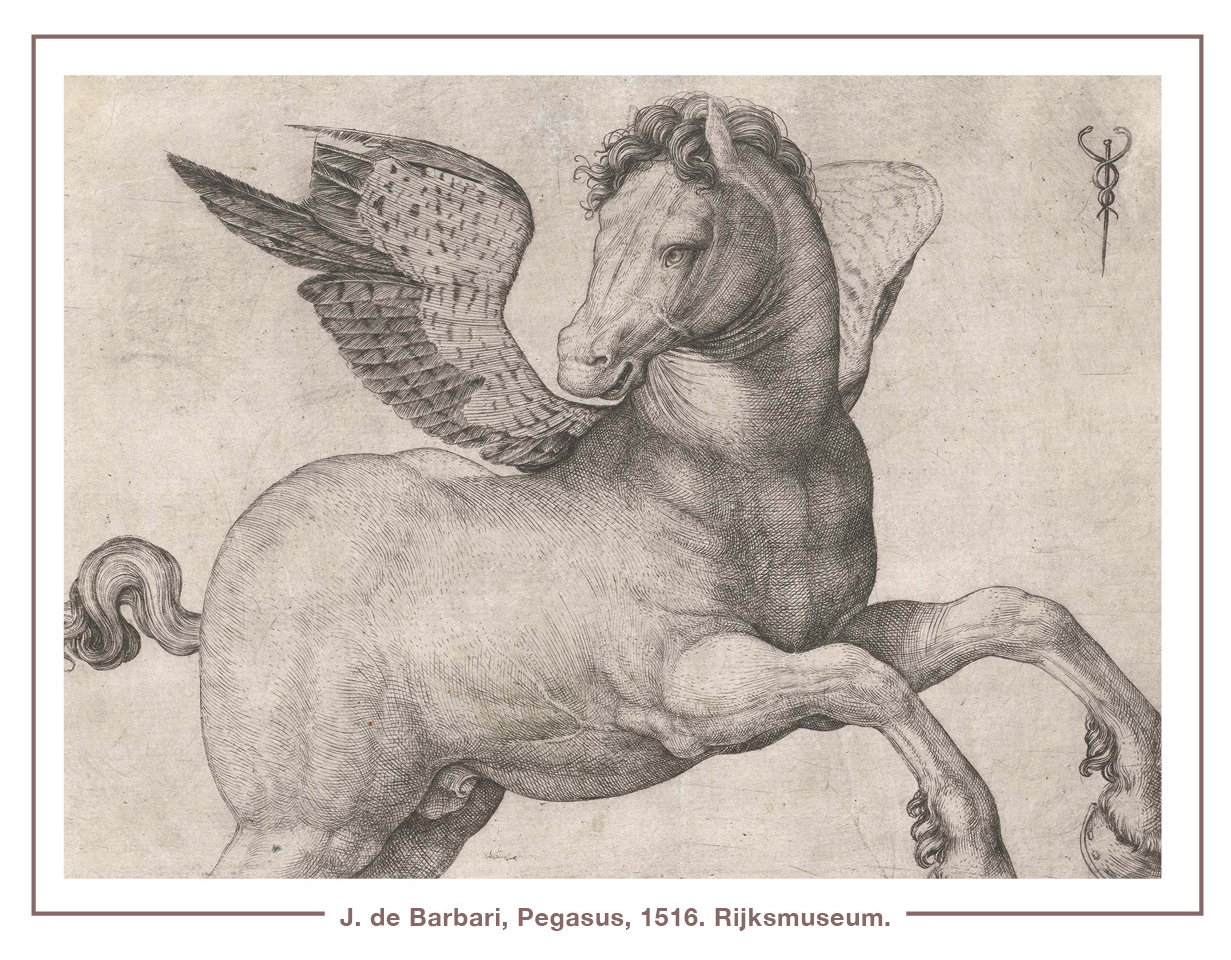 J. de Barbari, Pegasus, 1516. Rijksmuseum.